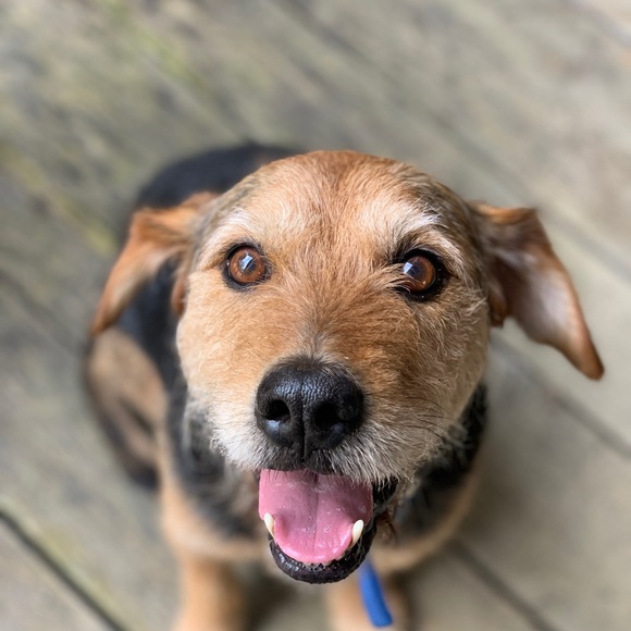 Meet your Posher, Jason - Picture 1 of 1